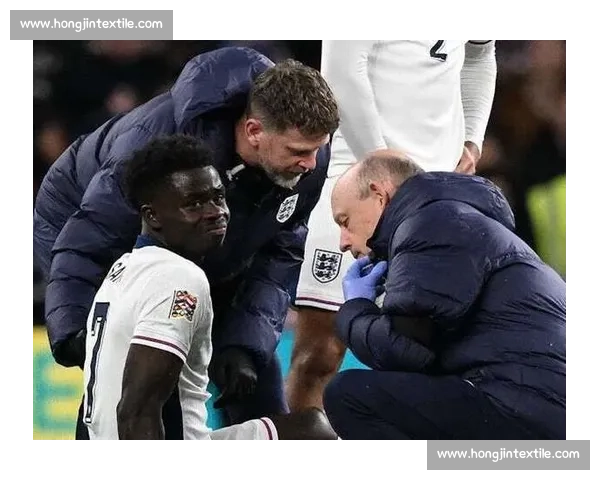 016芬兰对阵爱尔兰实力对比走势与赛果前瞻焦点全面解析